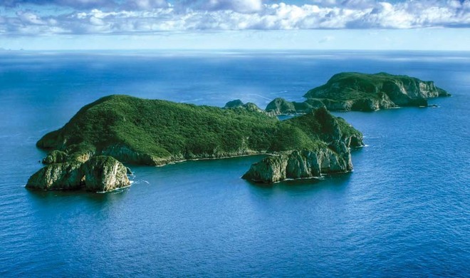 Poor Knights Islands marine reserve © SW
